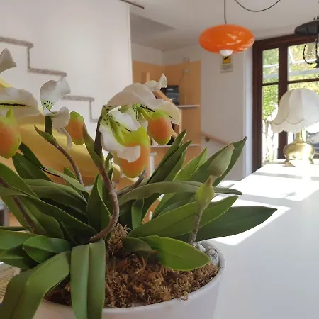 Gio' House 8 فاليجيو سول مينشيو